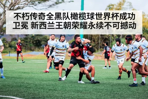 不朽传奇全黑队橄榄球世界杯成功卫冕 新西兰王朝荣耀永续不可撼动