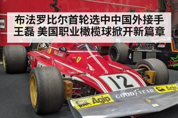 布法罗比尔首轮选中中国外接手王磊 美国职业橄榄球掀开新篇章